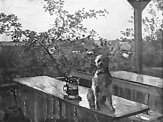 The Dog Hipp on a Table
